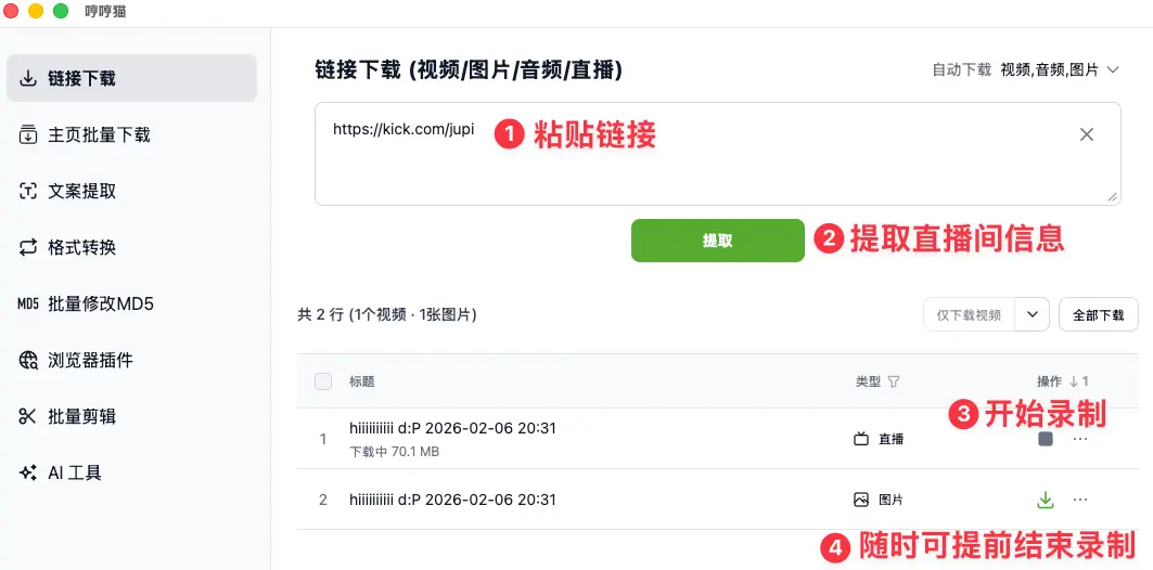 Paste link and start recording