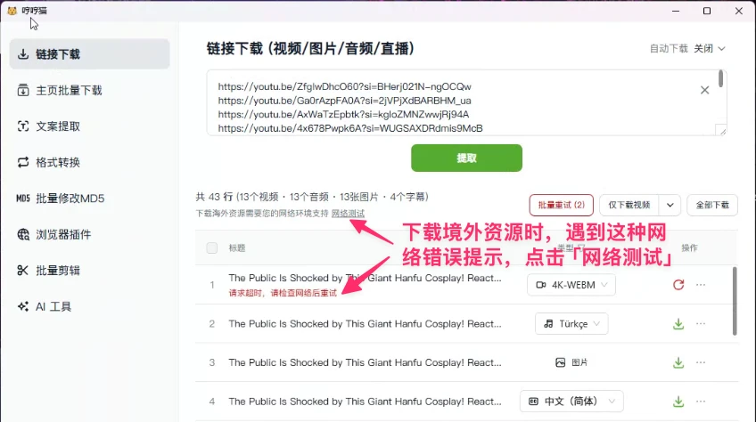 Request timeout error when downloading, click Network Test