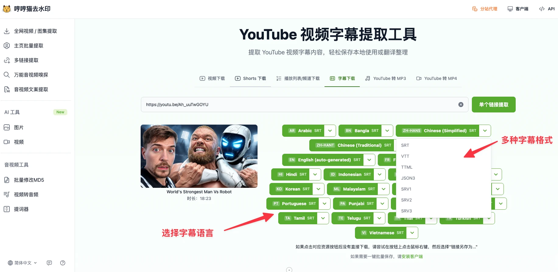 Web tool subtitle download